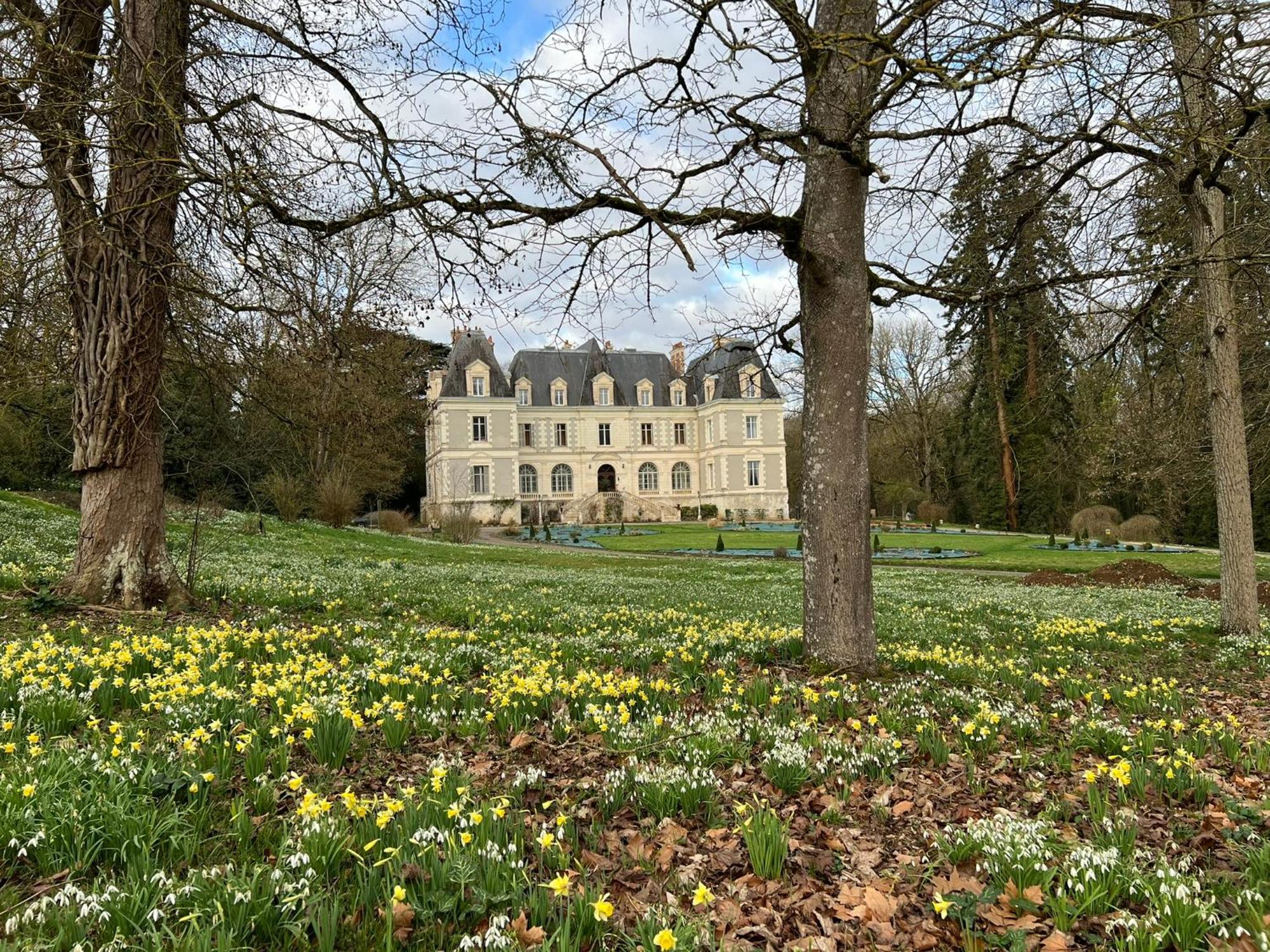 Chateau De Saint-Bohaire Exterior foto
