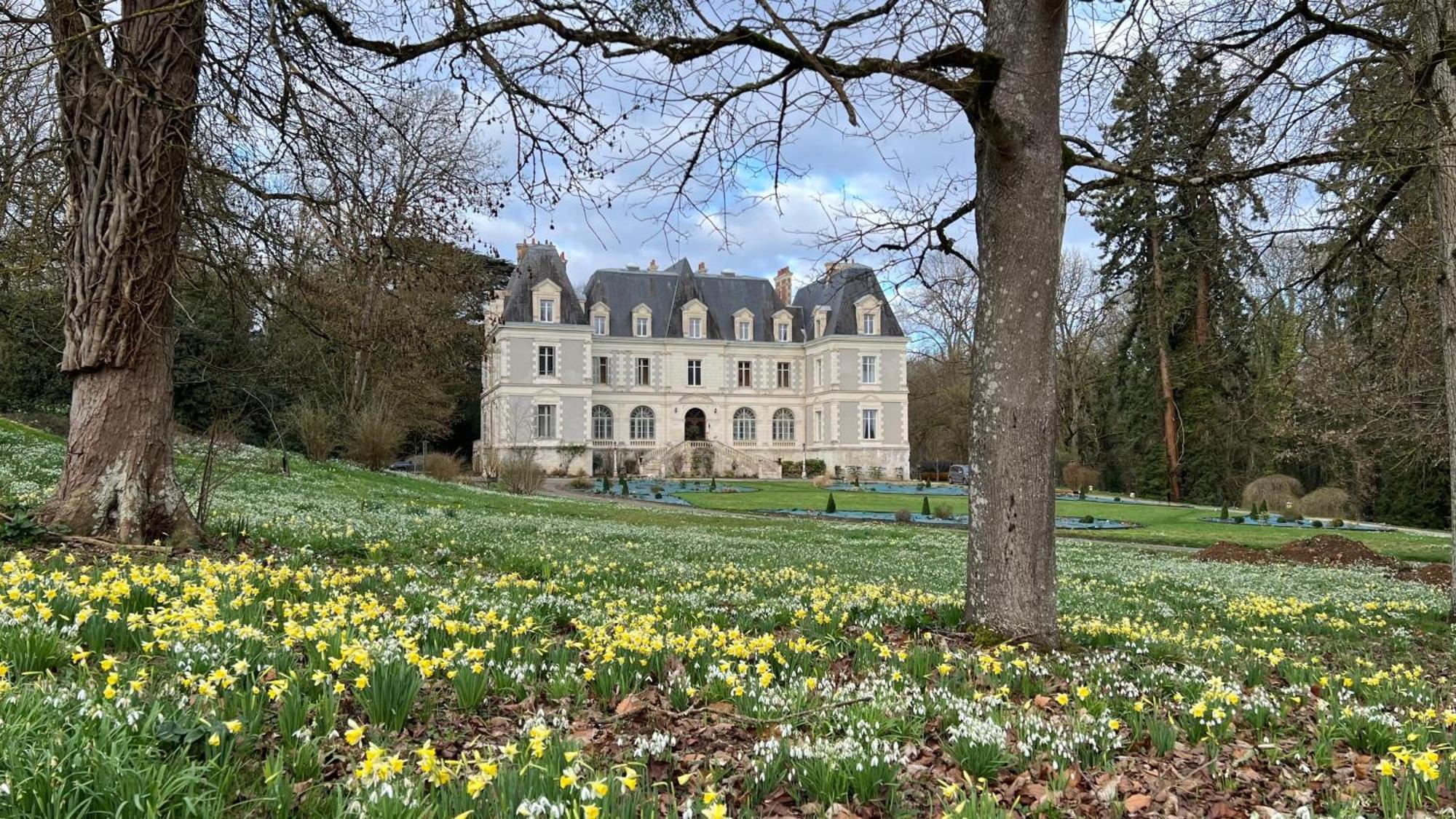 Chateau De Saint-Bohaire Exterior foto