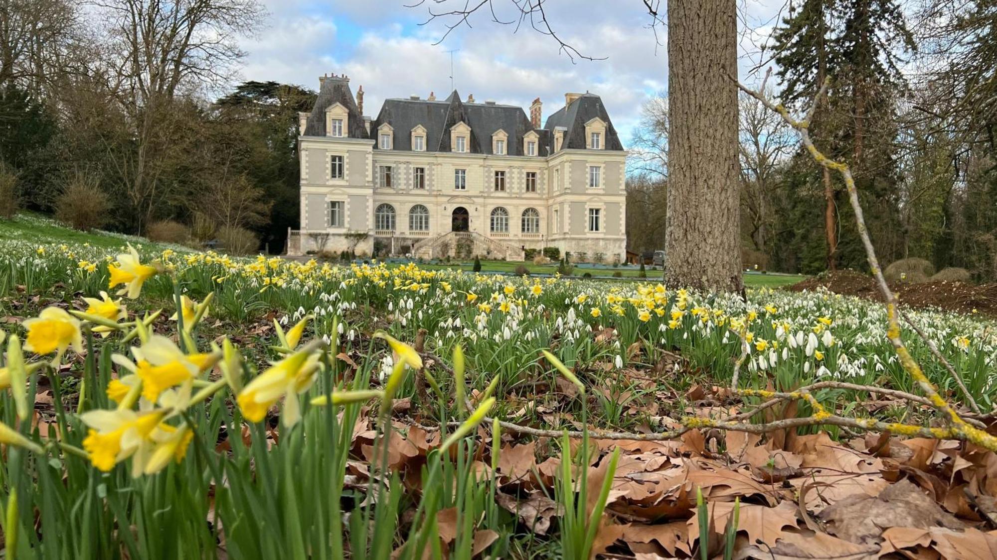 Chateau De Saint-Bohaire Exterior foto